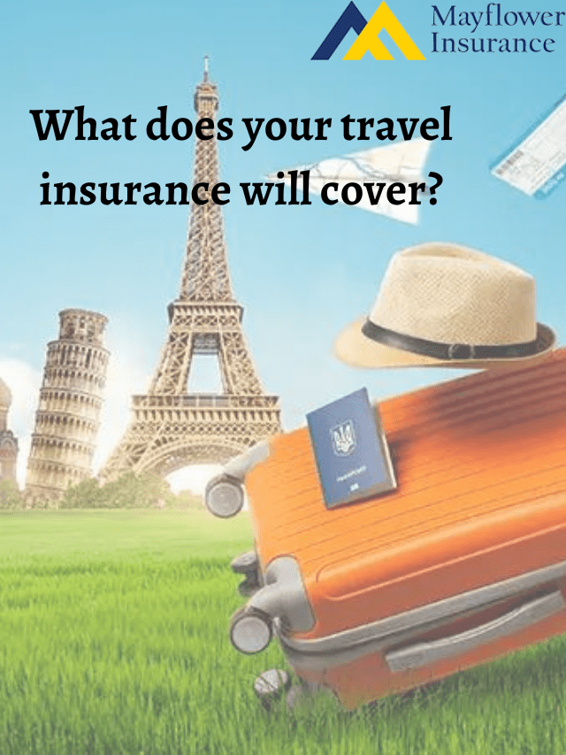 What does your travel insurance will cover?