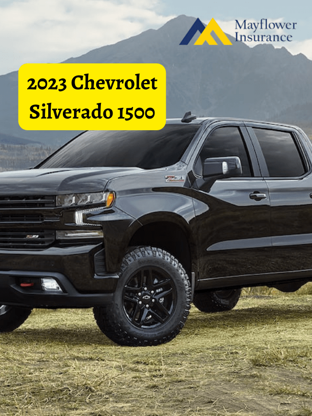 2023 Chevrolet Silverado Pickup Truck 1500