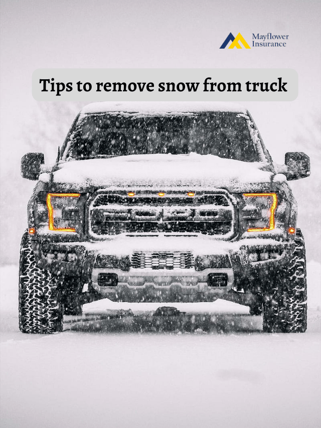 Tips To Remove Snow from Truck